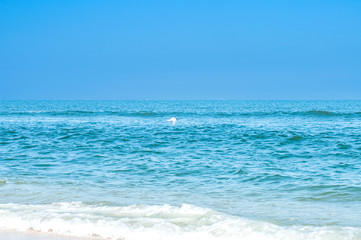 Ocean. Tropical beach with white sand and blue sky
