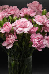 Fototapeta na wymiar Pink carnations isolated on black background
