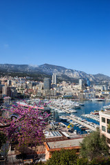 Fototapeta na wymiar Monaco Principality in Spring