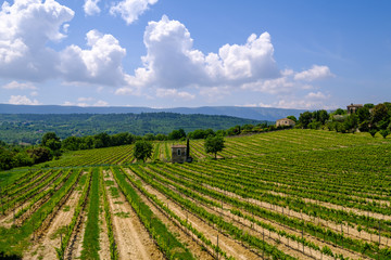 Fototapeta na wymiar Vue sur le massif du Luberon, et les vignobles au printemps en Provence, France.