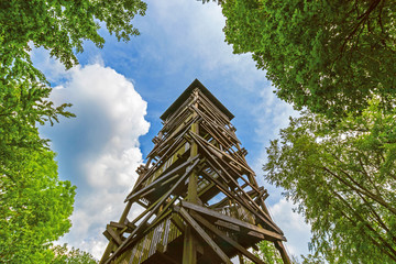 High wooden observation tower surrounded by trees. Blue sky and fluffy clouds on background