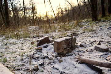 bricks in the forest covered with snow