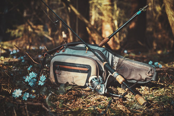 Fishing tackle on a background of a spring forest.