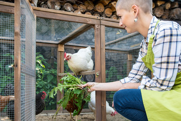 Young woman feeding her free range chickens. Egg laying hens and young female farmer. Healthy organic eating lifestyle. Sustainable farm. © andreaobzerova