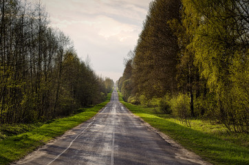 Fototapeta premium the road to the distance beautiful sky and trees