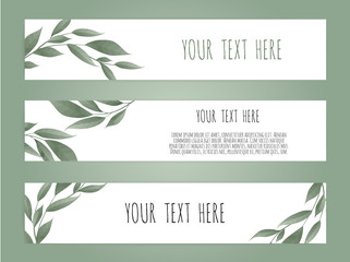set botanic card with wild flowers, leaves. Floral poster, invite.