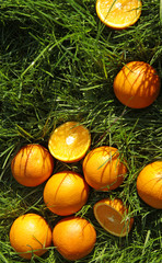 oranges on green grass