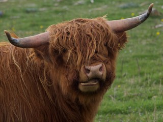 Bulle-Texel