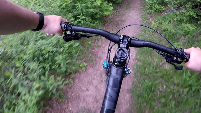 Mountain biking on forest trail