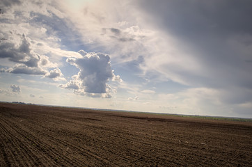 field and beautiful sky