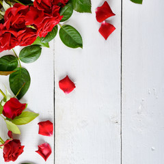 Flowers composition. Red roses on a white wooden background. Flat lay, top view. Free space