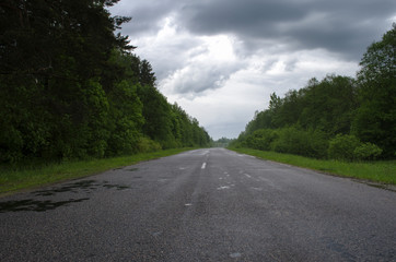 the track through the trees