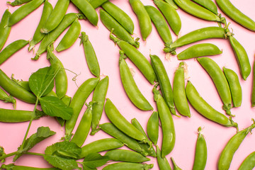 Fresh green ripe sugar snaps, sweet peas copy space close up on light pink background flat lay food concept