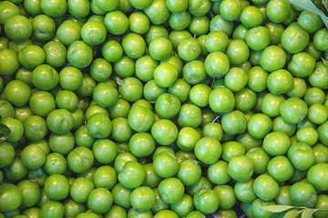 Green tkemali plums in a pile, texture