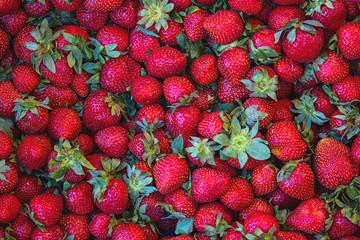 Strawberry. Fresh organic berries macro.