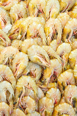 Fresh shrimps in market