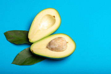 Fresh organic ripe green whole and sliced Fuerte avocado with leaves, copy space close up isolated on trendy blue background