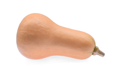 Raw butternut squash isolated on white background