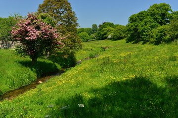 Jersey countryside, U.K.
Lush valley in Spring with a stream.