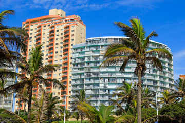 Residential buildings with palm trees on Durban's 
