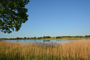 Wreecher See - Putbus auf Rügen