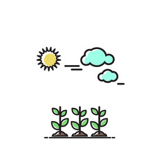 Sprouts under the sun. Vector icon, illustration in flat style.