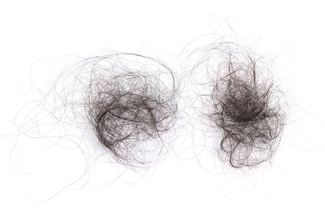 Hair loss, hair fall everyday serious problem, on white background.