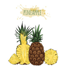 pineapple whole and slices exotic fruit, set, vector