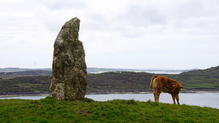  Standing Stone mit Kalb 1