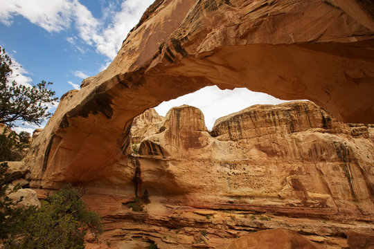 Spectacular view to Hickman Natural Bridge in Capitol reef National park in Utah, USA