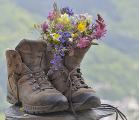 hiking shoes with pretty bouquet of wild flowers