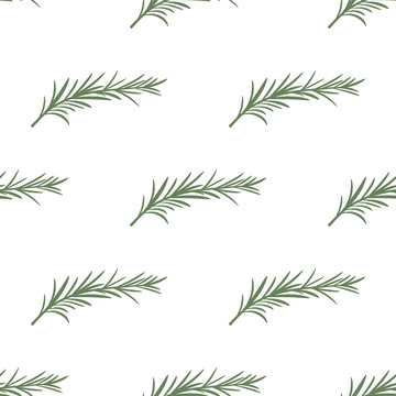 pattern with rosemary