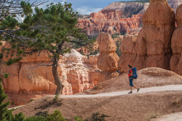 Hiker visits Bryce canyon National park in Utah, USA