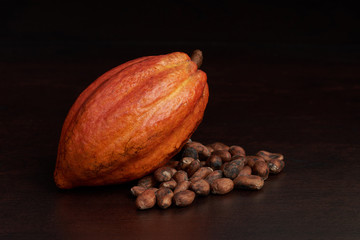 Cacao fruit pod
