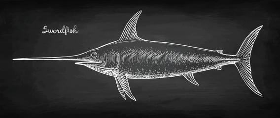 Chalk sketch of swordfish