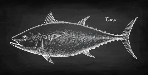 Naklejka premium Chalk sketch of tuna