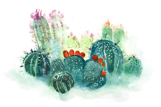 Watercolor hand drawn spiky cactus bloom flower.