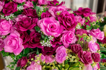 Rose - Flower, Flower, Valentine's Day - Holiday, Backgrounds, Red