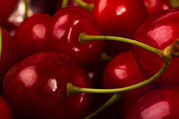 large ripe red sweet cherries