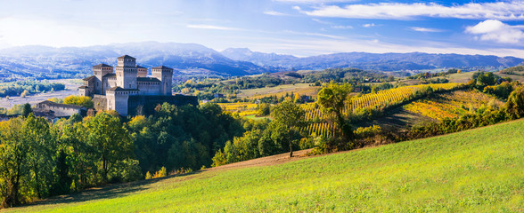 Medieval castles and wineyards of Italy - Castello di Torrechara (Parma) - obrazy, fototapety, plakaty