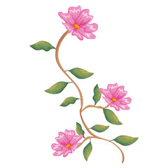flower and leafs decorative icon vector illustration design