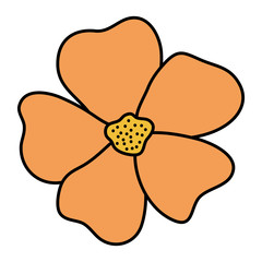 beautiful flower decorative icon vector illustration design