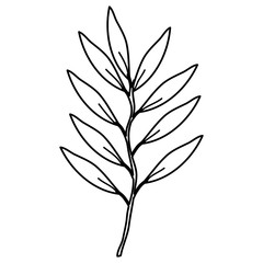 branch with leafs decorative icon vector illustration design