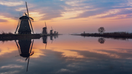 Windmühlen in Kinderdijk - 205787204