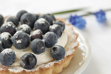 Fresh blueberry tart with cream in portion plate close-up. Delicious summer berry dessert.