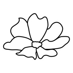beautiful flower decorative icon vector illustration design