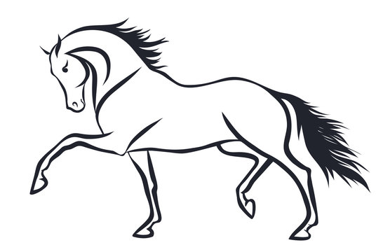 A sketch of a trotting horse.