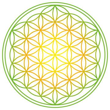 Flower of Life with spring energy colors. Geometrical figure, spiritual symbol and Sacred Geometry. Overlapping circles forming a flower like pattern with symmetrical structure. Illustration. Vector.