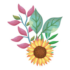 flower and leafs decorative icon vector illustration design