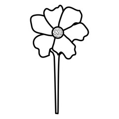 beautiful flower decorative icon vector illustration design